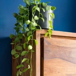 Colonne Salle De Bain TRANGLE 2 Portes -Salle De Bain Meubles 1000292023 230726 031 DETAILS P000000001000292023