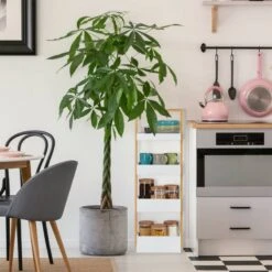 Etagère De Salle De Bain 4 Supports -Salle De Bain Meubles 930f44fed5c346ebb3709da0b1f11cc0